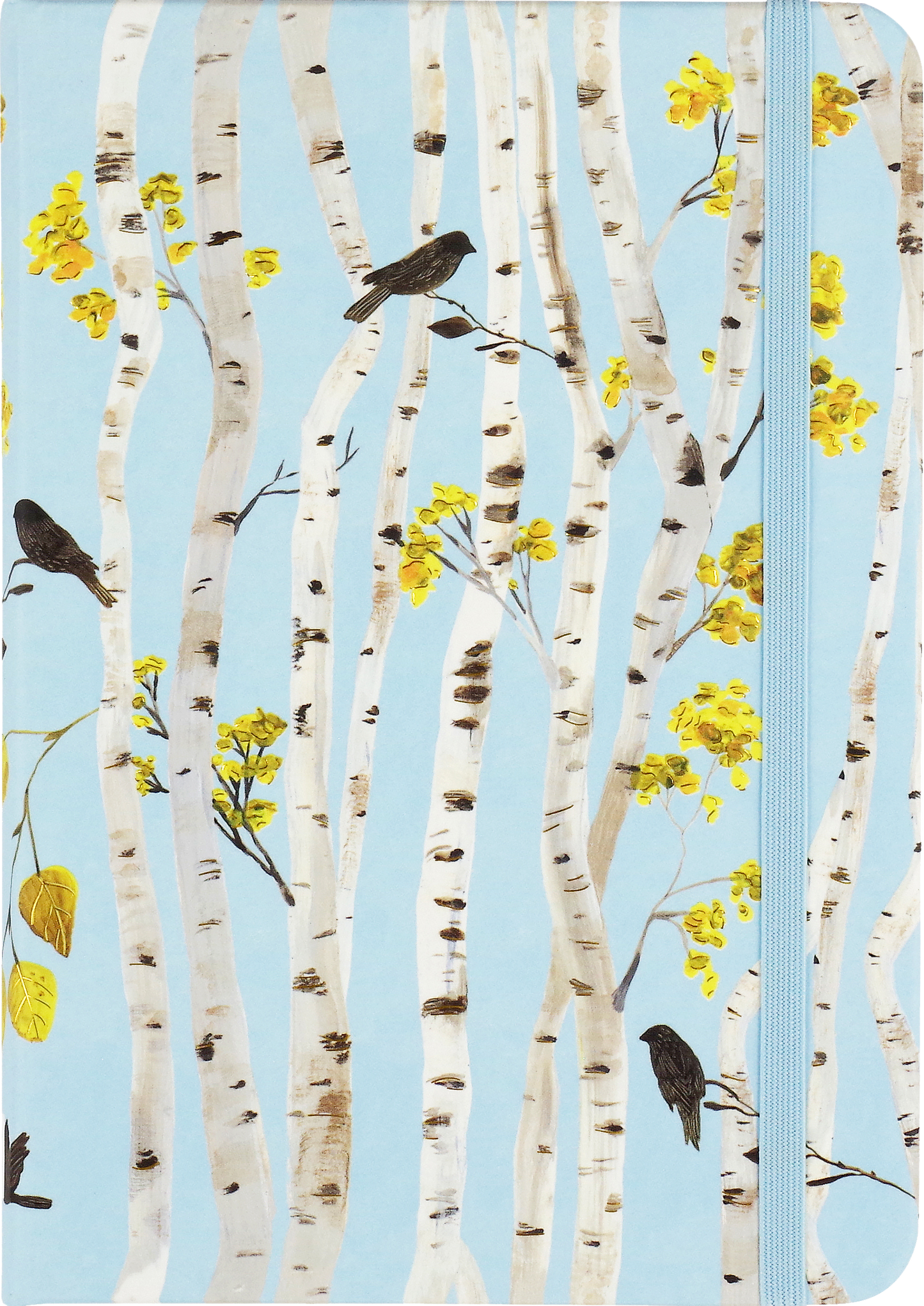 Birch Woods 5x7 Journal