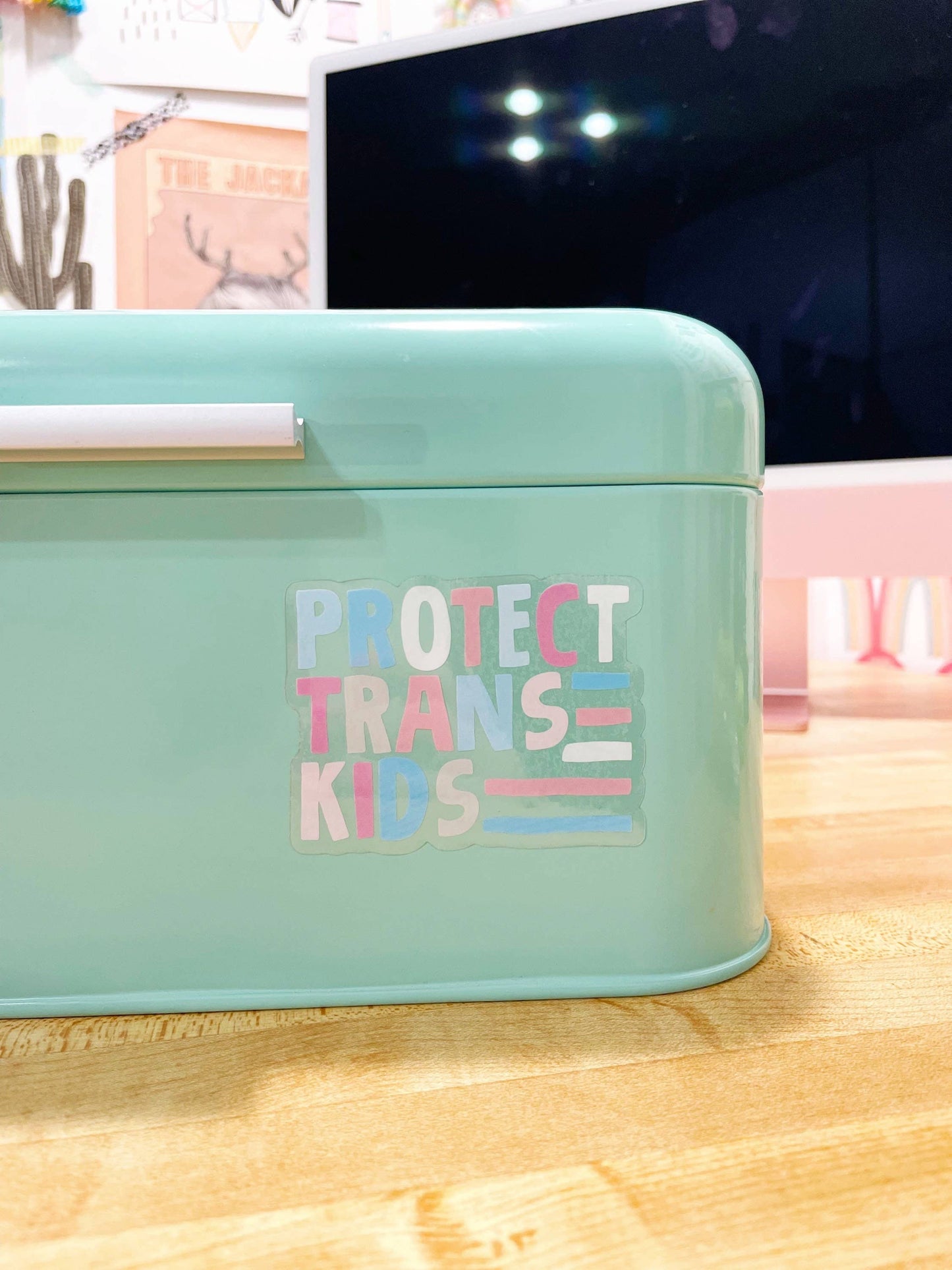 Protect Trans Kids Vinyl Sticker