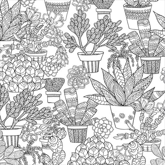 Peter Pauper Press - Succulents Artist's Coloring Book