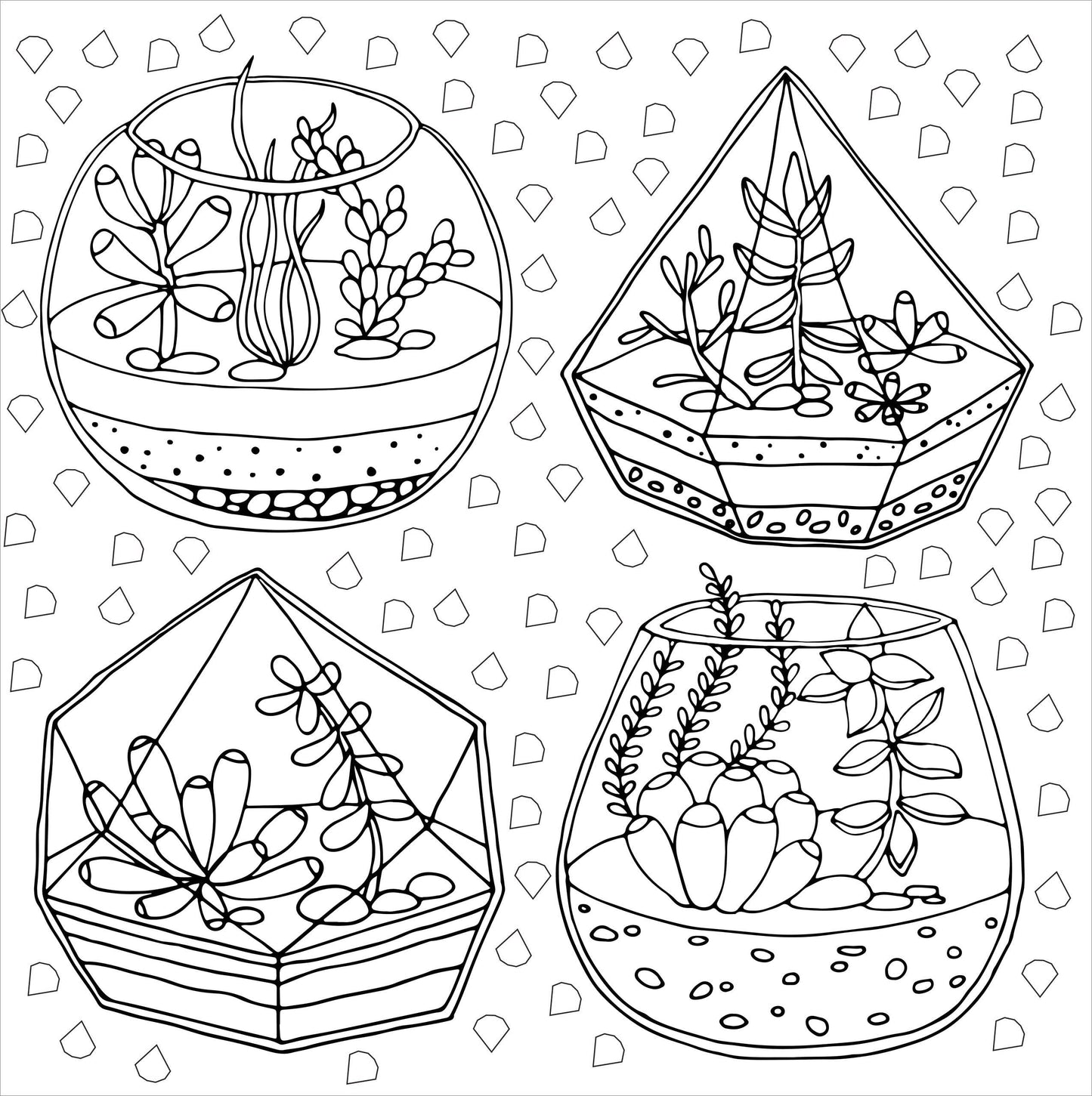 Peter Pauper Press - Succulents Artist's Coloring Book