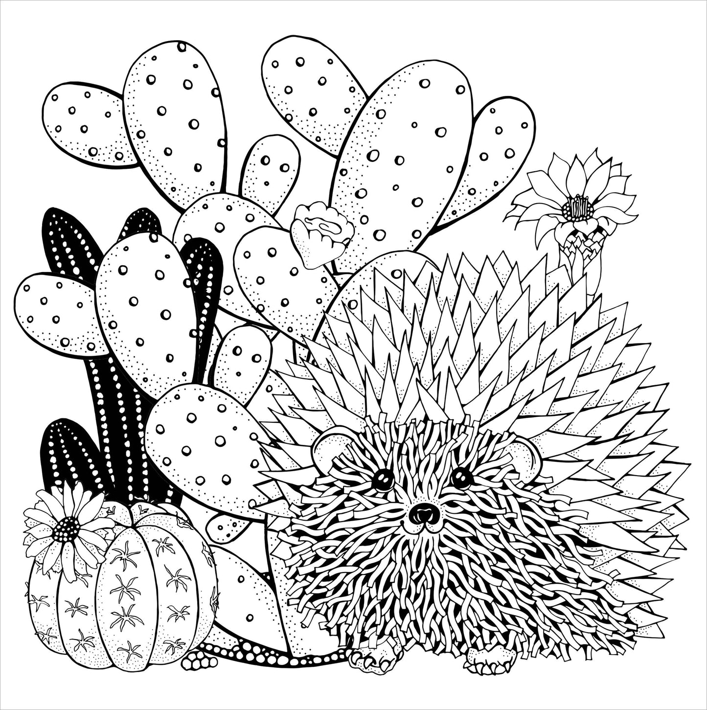 Peter Pauper Press - Succulents Artist's Coloring Book
