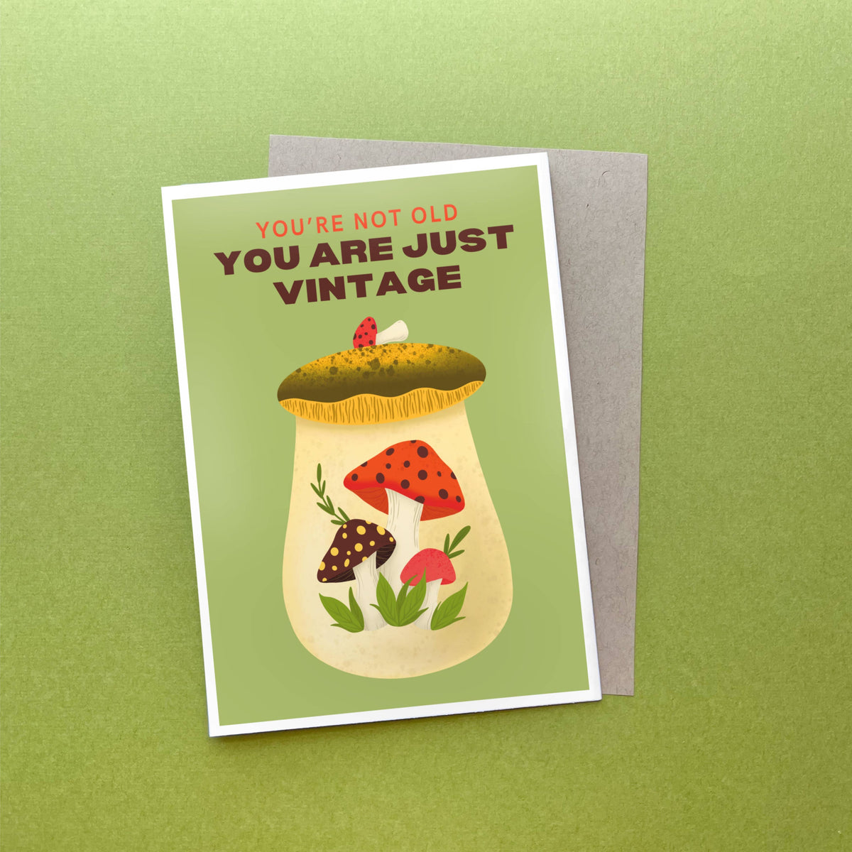You're Not Old, You Are Just Vintage Birthday Card