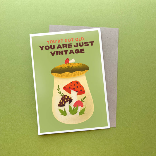 You're Not Old, You Are Just Vintage Birthday Card