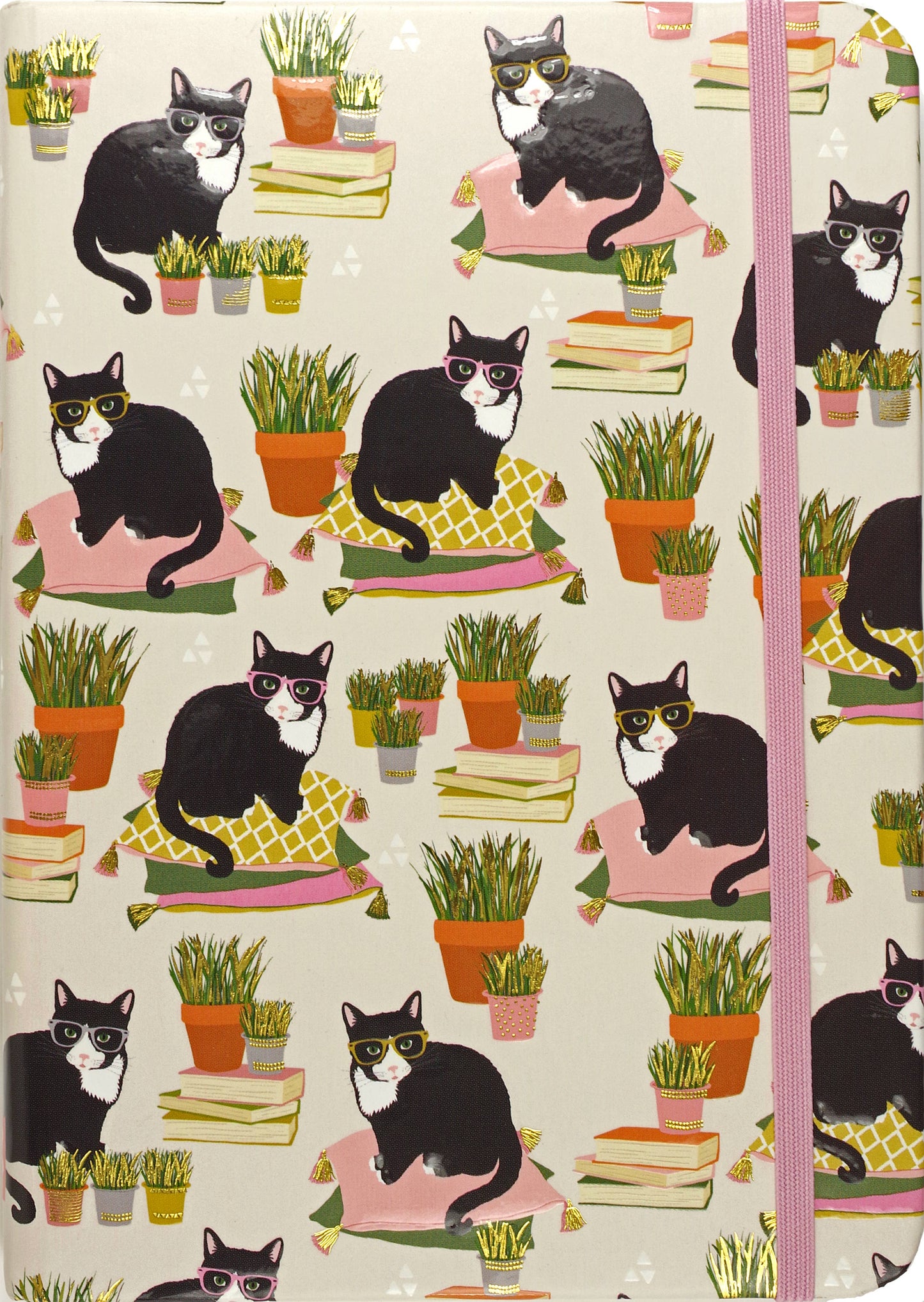 Smarty Cats 5 x 7 Journal